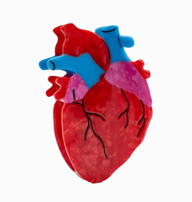 Anatomically correct heart shaped hair claw against a white background.