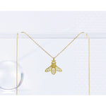 This photo shows the necklace hanging from a clear jewelry holder. Necklace is gold in color